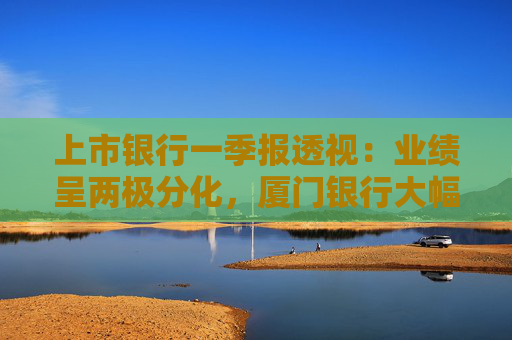 上市银行一季报透视：业绩呈两极分化，厦门银行大幅调降拨备仍营利两位数下滑