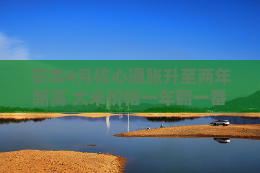 日本4月核心通胀升至两年新高 大米价格一年翻一番