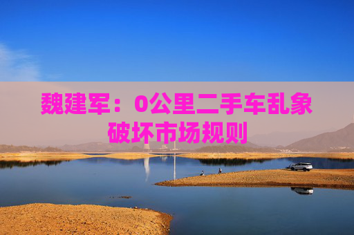魏建军：0公里二手车乱象破坏市场规则
