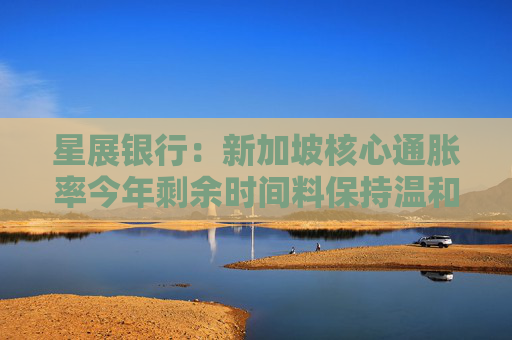 星展银行：新加坡核心通胀率今年剩余时间料保持温和