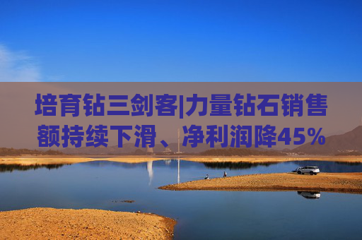 培育钻三剑客|力量钻石销售额持续下滑、净利润降45% 技术优势难抵市场浪潮下的结构性隐忧