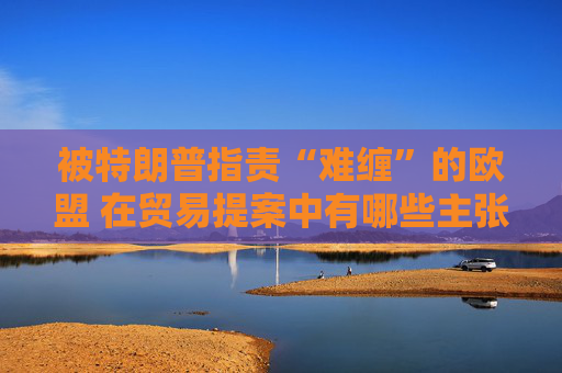 被特朗普指责“难缠”的欧盟 在贸易提案中有哪些主张？