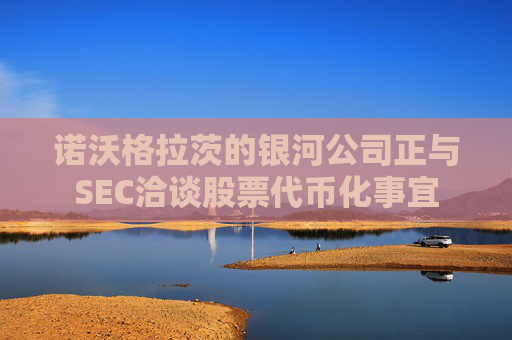 诺沃格拉茨的银河公司正与SEC洽谈股票代币化事宜