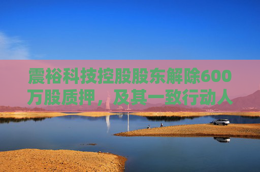 震裕科技控股股东解除600万股质押，及其一致行动人累计质押1966万股