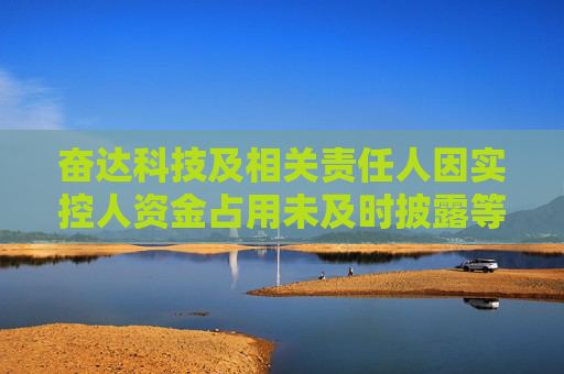 奋达科技及相关责任人因实控人资金占用未及时披露等问题被警示