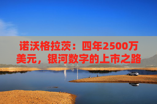 诺沃格拉茨：四年2500万美元，银河数字的上市之路 “充满挫败”