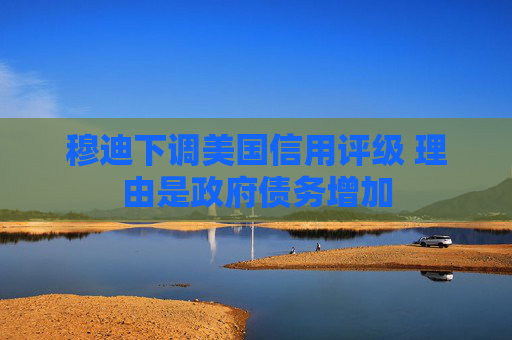 穆迪下调美国信用评级 理由是政府债务增加