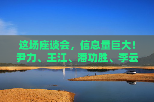 这场座谈会，信息量巨大！尹力、王江、潘功胜、李云泽、吴清参加