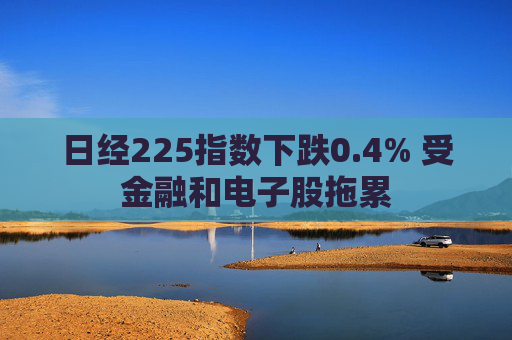 日经225指数下跌0.4% 受金融和电子股拖累