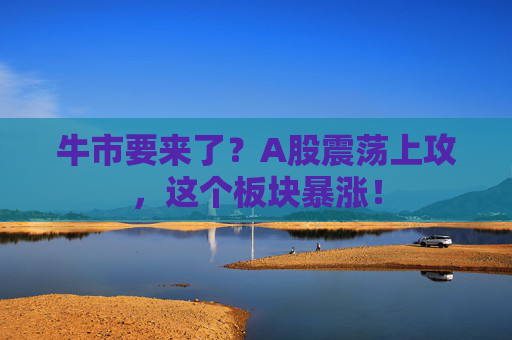 牛市要来了？A股震荡上攻，这个板块暴涨！