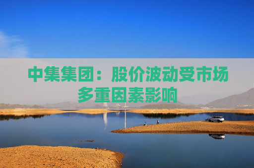 中集集团：股价波动受市场多重因素影响