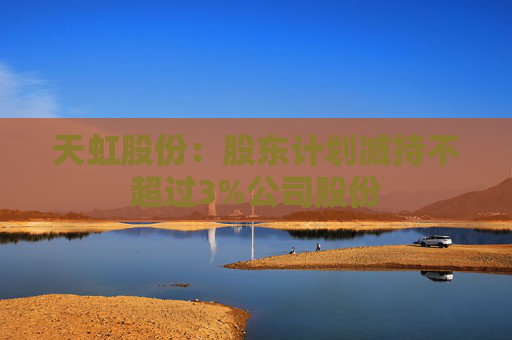 天虹股份：股东计划减持不超过3%公司股份