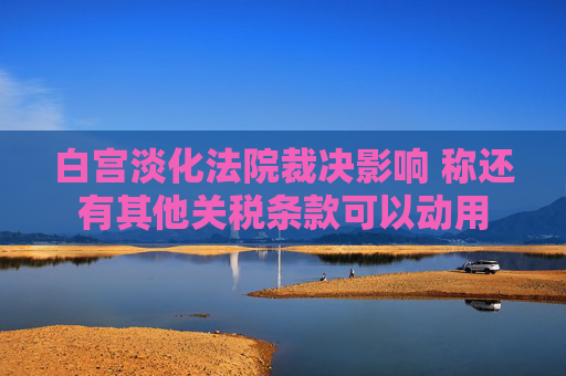 白宫淡化法院裁决影响 称还有其他关税条款可以动用