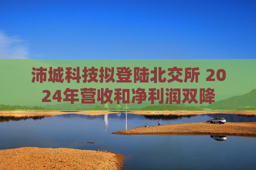 沛城科技拟登陆北交所 2024年营收和净利润双降