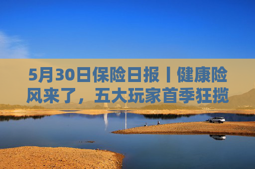 5月30日保险日报丨健康险风来了，五大玩家首季狂揽保费386亿元！年内66家险企关停近千家分支机构