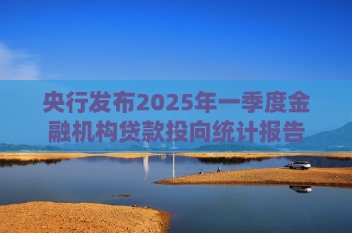 央行发布2025年一季度金融机构贷款投向统计报告