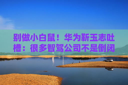 别做小白鼠！华为靳玉志吐槽：很多智驾公司不是倒闭就是做机器人去了