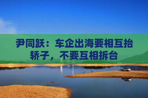 尹同跃：车企出海要相互抬轿子，不要互相拆台