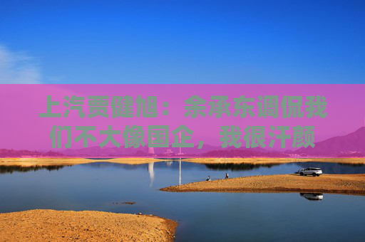 上汽贾健旭：余承东调侃我们不大像国企，我很汗颜