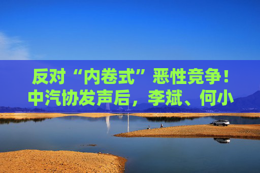 反对“内卷式”恶性竞争！中汽协发声后，李斌、何小鹏、閤先庆等车企大佬集体表态“价格战”