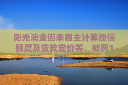 阳光消金因未自主计算授信额度及贷款定价等，被罚140万元