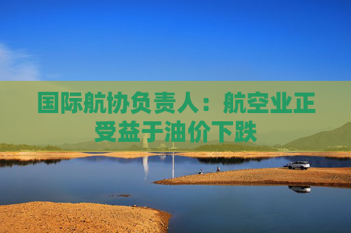 国际航协负责人：航空业正受益于油价下跌