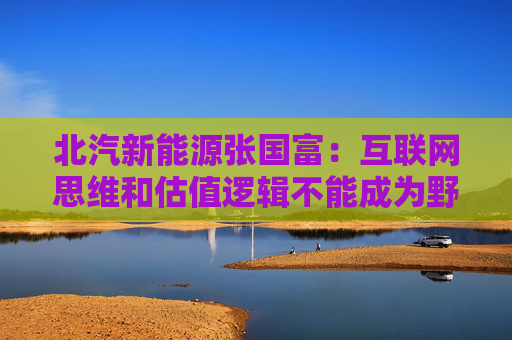 北汽新能源张国富：互联网思维和估值逻辑不能成为野蛮生长的理由