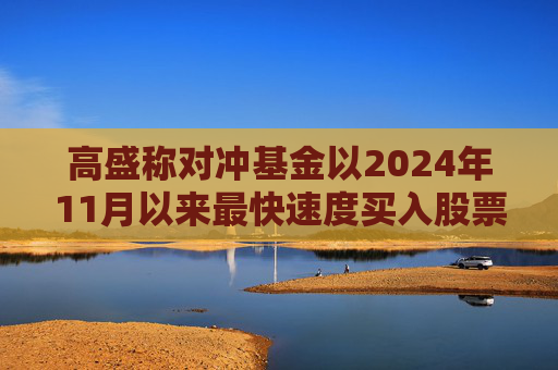 高盛称对冲基金以2024年11月以来最快速度买入股票