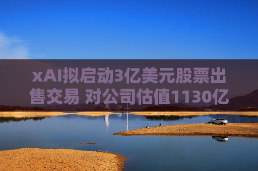 xAI拟启动3亿美元股票出售交易 对公司估值1130亿美元