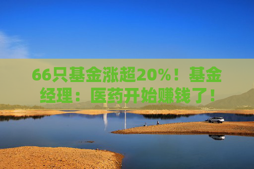 66只基金涨超20%！基金经理：医药开始赚钱了！