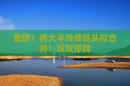 重磅！两大半导体巨头拟合并！双双停牌