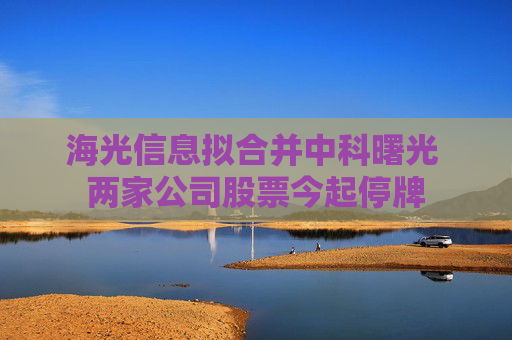海光信息拟合并中科曙光 两家公司股票今起停牌