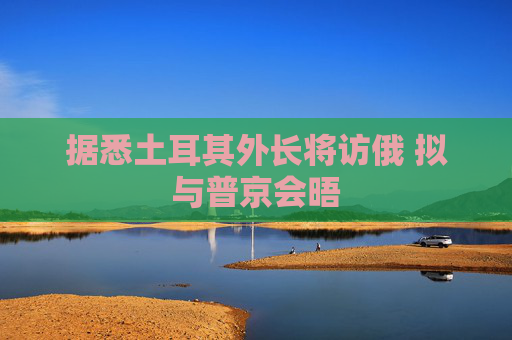 据悉土耳其外长将访俄 拟与普京会晤