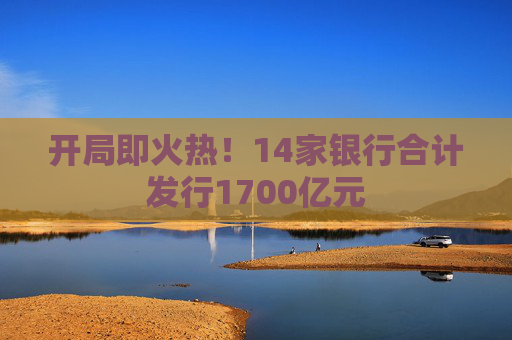 开局即火热！14家银行合计发行1700亿元  第1张