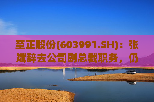 至正股份(603991.SH)：张斌辞去公司副总裁职务，仍在公司担任其他职务