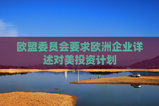 欧盟委员会要求欧洲企业详述对美投资计划  第1张