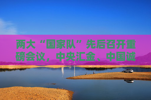 两大“国家队”先后召开重磅会议，中央汇金、中国诚通分别部署了哪些重点任务？