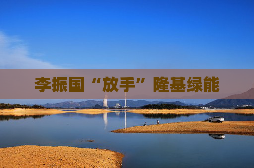 李振国“放手”隆基绿能