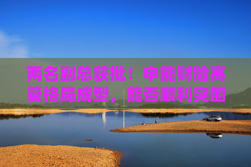 两名副总获批！申能财险高管格局成型，能否顺利突围？