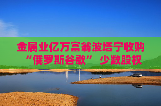金属业亿万富翁波塔宁收购 “俄罗斯谷歌” 少数股权