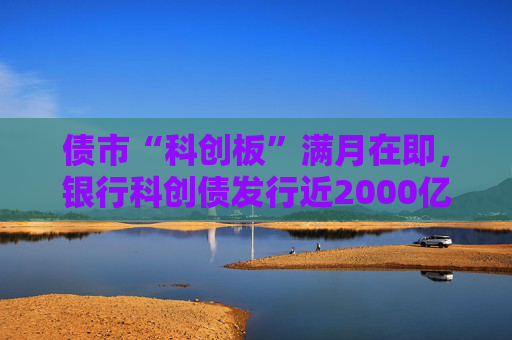 债市“科创板”满月在即，银行科创债发行近2000亿，大行热情高，中小行参与仍有限  第1张