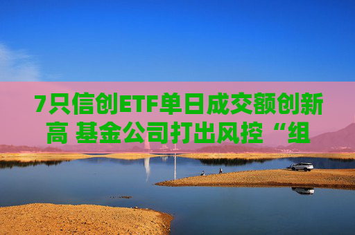 7只信创ETF单日成交额创新高 基金公司打出风控“组合拳”