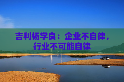 吉利杨学良：企业不自律，行业不可能自律