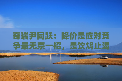 奇瑞尹同跃：降价是应对竞争最无奈一招，是饮鸩止渴