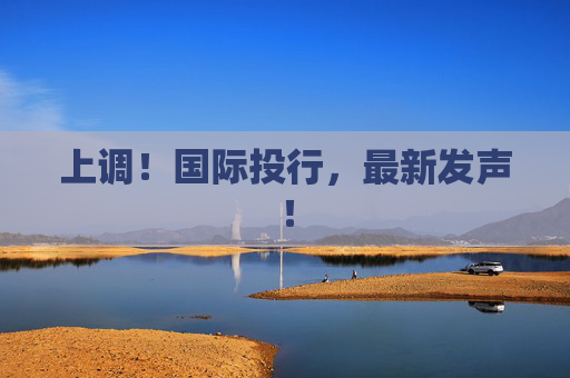 上调！国际投行，最新发声！