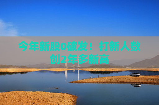 今年新股0破发！打新人数创2年多新高
