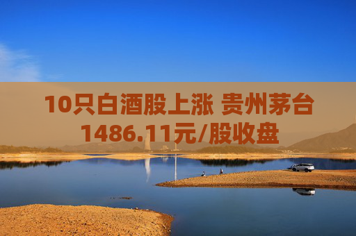 10只白酒股上涨 贵州茅台1486.11元/股收盘