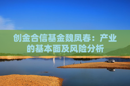 创金合信基金魏凤春：产业的基本面及风险分析