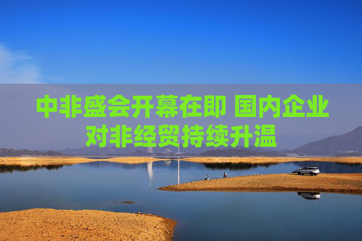 中非盛会开幕在即 国内企业对非经贸持续升温