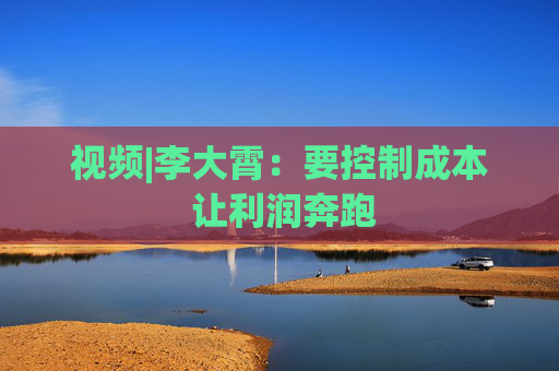 视频|李大霄：要控制成本 让利润奔跑